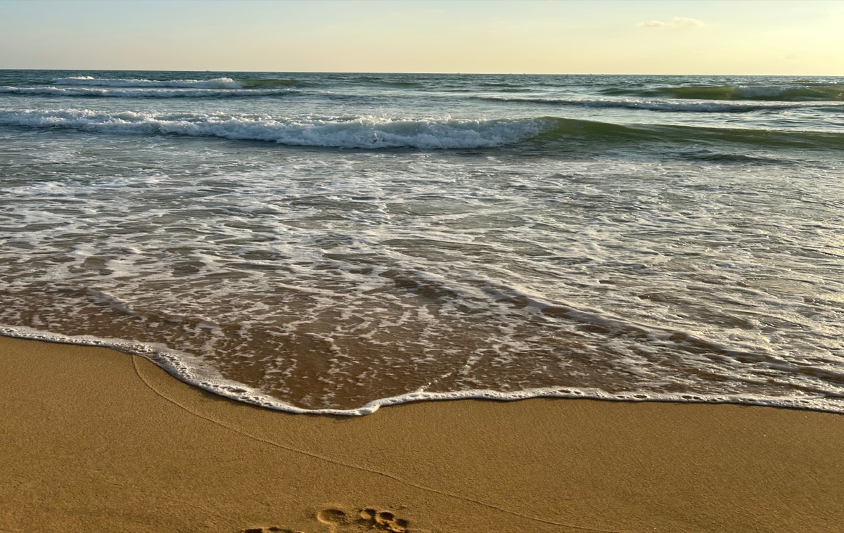 Waves and sea foam washing over a sandy beach at sunset, with footprints in the foreground